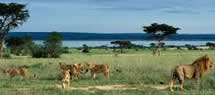 21 Days African Adventure 